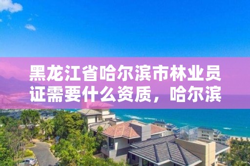 黑龙江省哈尔滨市林业员证需要什么资质,哈尔滨林业服务总站