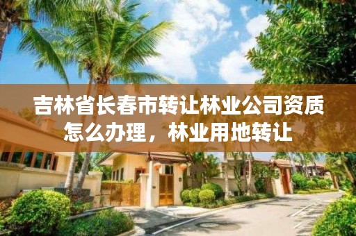 吉林省长春市转让林业公司资质怎么办理,林业用地转让