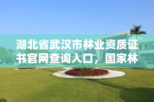 湖北省武汉市林业资质证书官网查询入口，国家林业局林产品质量检验检测中心武汉