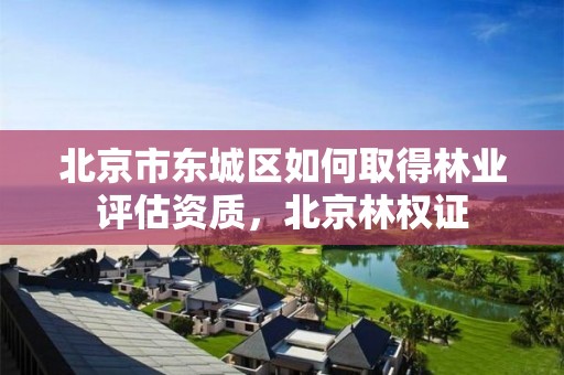 北京市东城区如何取得林业评估资质,北京林权证