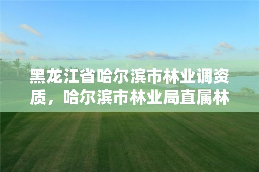 黑龙江省哈尔滨市林业调资质,哈尔滨市林业局直属林场