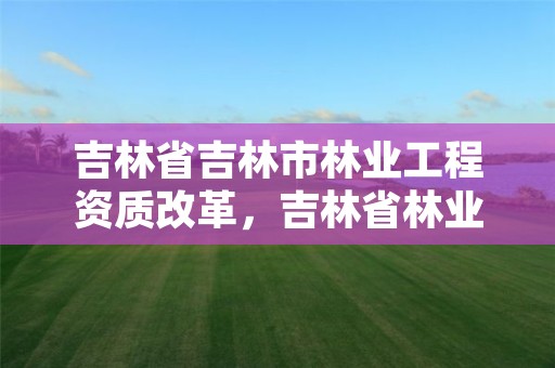 吉林省吉林市林业工程资质改革,吉林省林业工程公司