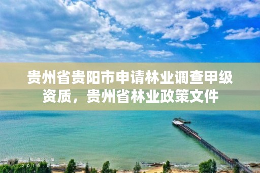 贵州省贵阳市申请林业调查甲级资质，贵州省林业政策文件