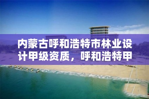 内蒙古呼和浩特市林业设计甲级资质,呼和浩特甲级设计院