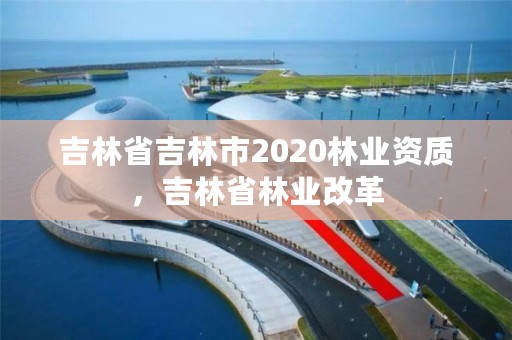 吉林省吉林市2020林业资质,吉林省林业改革