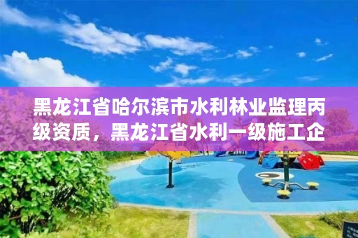 黑龙江省哈尔滨市水利林业监理丙级资质,黑龙江省水利一级施工企业