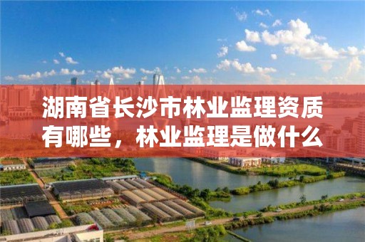 湖南省长沙市林业监理资质有哪些，林业监理是做什么的