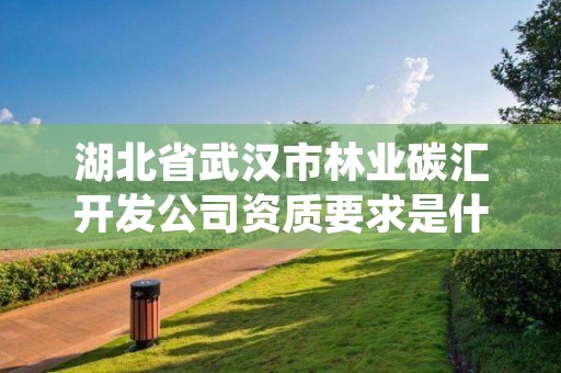 湖北省武汉市林业碳汇开发公司资质要求是什么,林业碳汇项目开发现状与前景分析