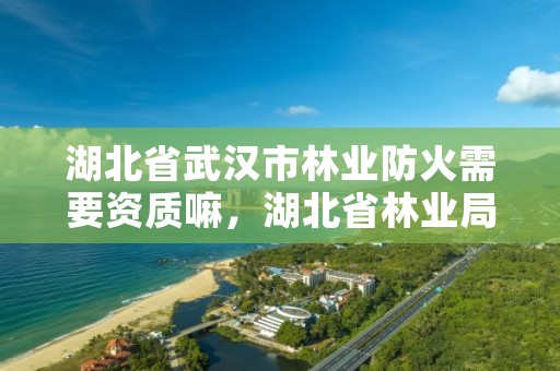 湖北省武汉市林业防火需要资质嘛,湖北省林业局防火值班电话