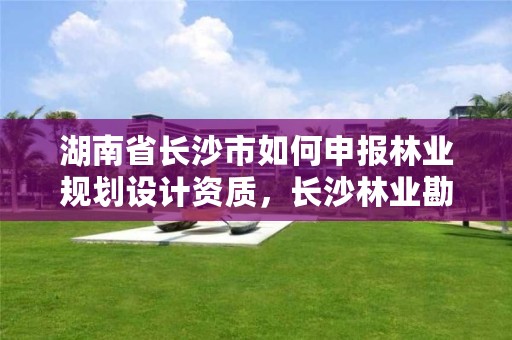 湖南省长沙市如何申报林业规划设计资质，长沙林业勘测设计院