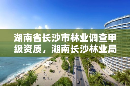湖南省长沙市林业调查甲级资质，湖南长沙林业局
