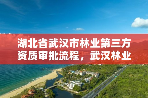 湖北省武汉市林业第三方资质审批流程,武汉林业集团是国企吗
