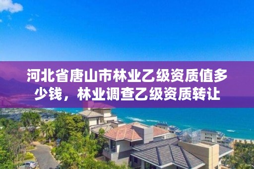 河北省唐山市林业乙级资质值多少钱,林业调查乙级资质转让