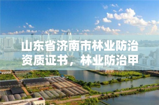 山东省济南市林业防治资质证书,林业防治甲级资质证书
