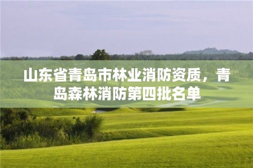 山东省青岛市林业消防资质,青岛森林消防第四批名单