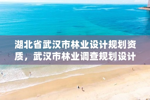 湖北省武汉市林业设计规划资质，武汉市林业调查规划设计院怎么样