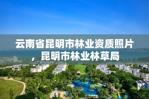 云南省昆明市林业资质照片,昆明市林业林草局
