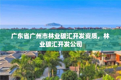 广东省广州市林业碳汇开发资质，林业碳汇开发公司