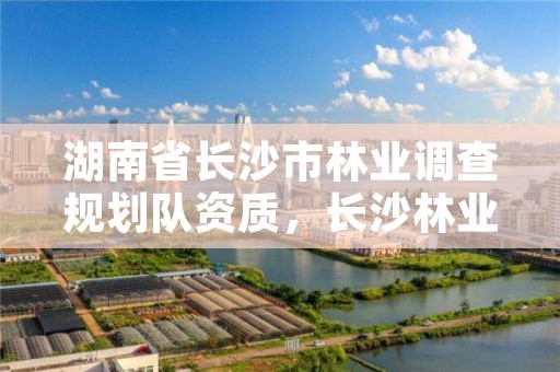 湖南省长沙市林业调查规划队资质，长沙林业局官网
