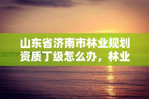 山东省济南市林业规划资质丁级怎么办,林业规划丙级资质的业务范围