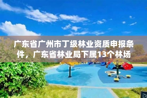广东省广州市丁级林业资质申报条件，广东省林业局下属13个林场