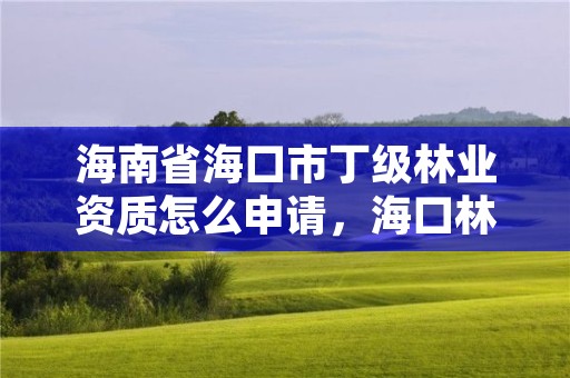 海南省海口市丁级林业资质怎么申请,海口林业局地址