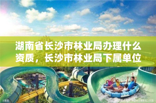 湖南省长沙市林业局办理什么资质，长沙市林业局下属单位