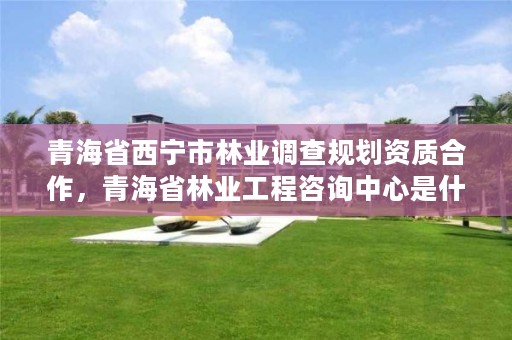青海省西宁市林业调查规划资质合作,青海省林业工程咨询中心是什么性质的单位