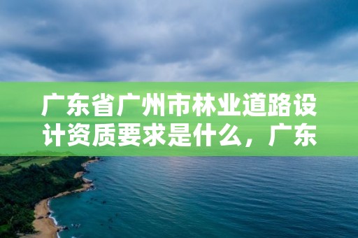 广东省广州市林业道路设计资质要求是什么，广东省林业规划设计公司