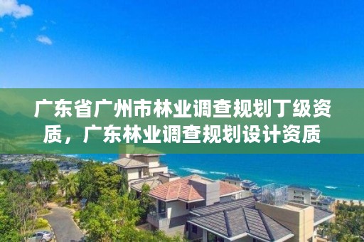 广东省广州市林业调查规划丁级资质，广东林业调查规划设计资质