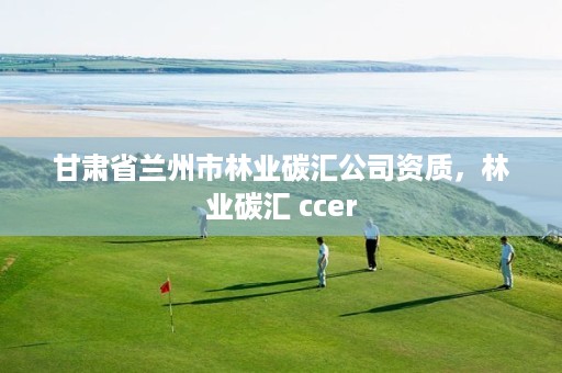 甘肃省兰州市林业碳汇公司资质,林业碳汇 ccer