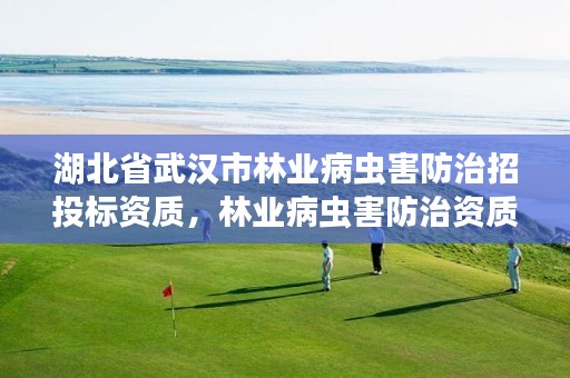 湖北省武汉市林业病虫害防治招投标资质,林业病虫害防治资质等级