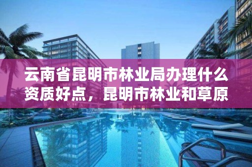 云南省昆明市林业局办理什么资质好点,昆明市林业和草原局待遇