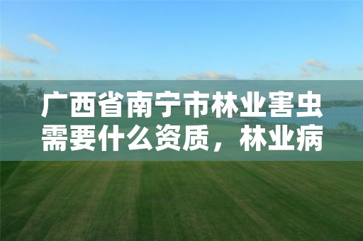 广西省南宁市林业害虫需要什么资质，林业病虫害防治资质