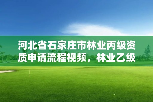 河北省石家庄市林业丙级资质申请流程视频,林业乙级资质