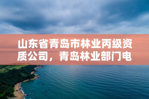 山东省青岛市林业丙级资质公司,青岛林业部门电话