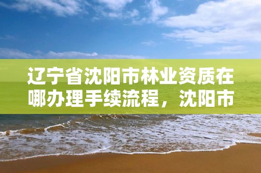辽宁省沈阳市林业资质在哪办理手续流程,沈阳市林业建设保护条例