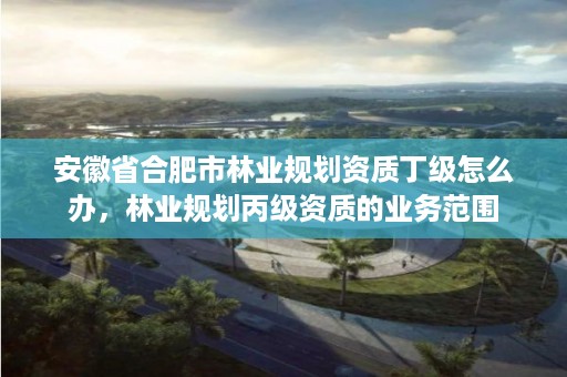 安徽省合肥市林业规划资质丁级怎么办,林业规划丙级资质的业务范围
