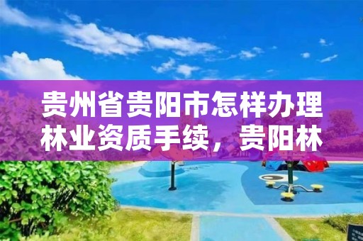 贵州省贵阳市怎样办理林业资质手续，贵阳林业公司