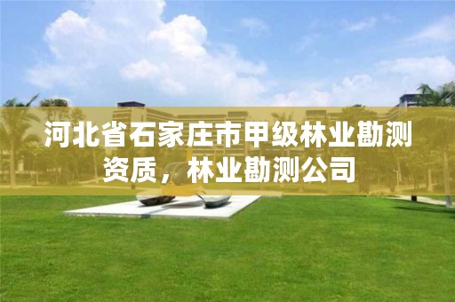 河北省石家庄市甲级林业勘测资质,林业勘测公司