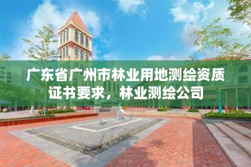 广东省广州市林业用地测绘资质证书要求，林业测绘公司