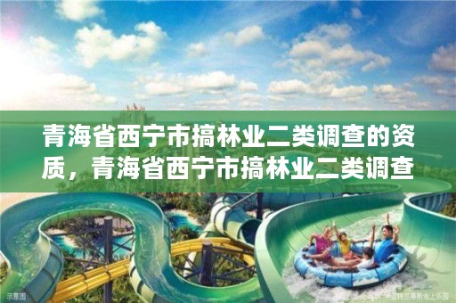 青海省西宁市搞林业二类调查的资质,青海省西宁市搞林业二类调查的资质有哪些
