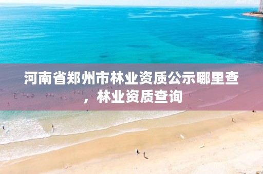 河南省郑州市林业资质公示哪里查,林业资质查询
