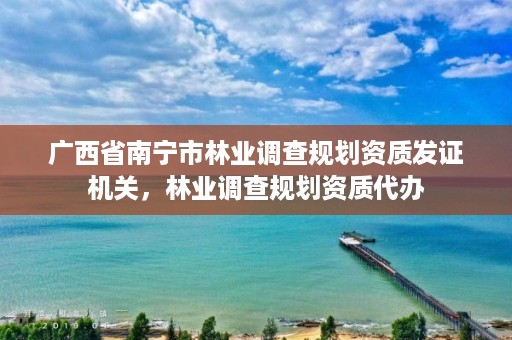 广西省南宁市林业调查规划资质发证机关,林业调查规划资质代办