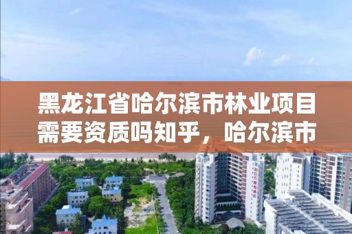 黑龙江省哈尔滨市林业项目需要资质吗知乎,哈尔滨市林业局直属林场