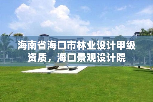 海南省海口市林业设计甲级资质,海口景观设计院