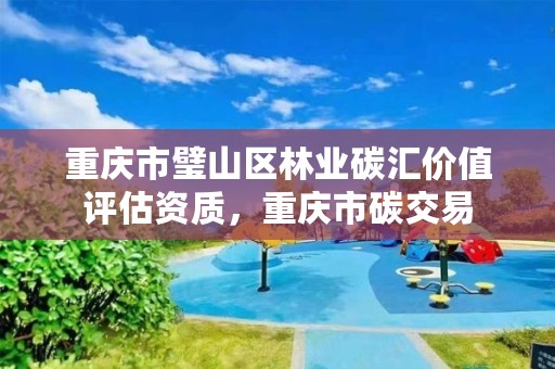 重庆市璧山区林业碳汇价值评估资质,重庆市碳交易