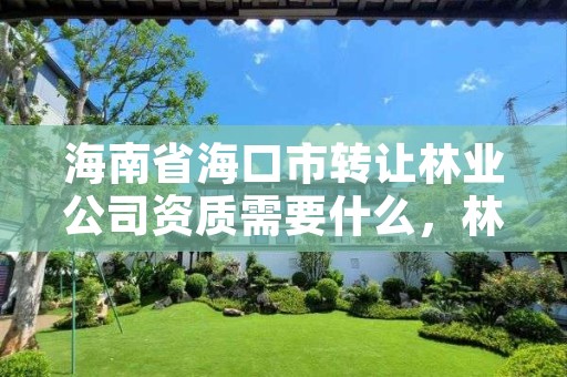 海南省海口市转让林业公司资质需要什么，林业权能否转让