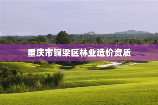 重庆市铜梁区林业造价资质