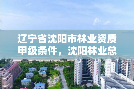 辽宁省沈阳市林业资质甲级条件,沈阳林业总场